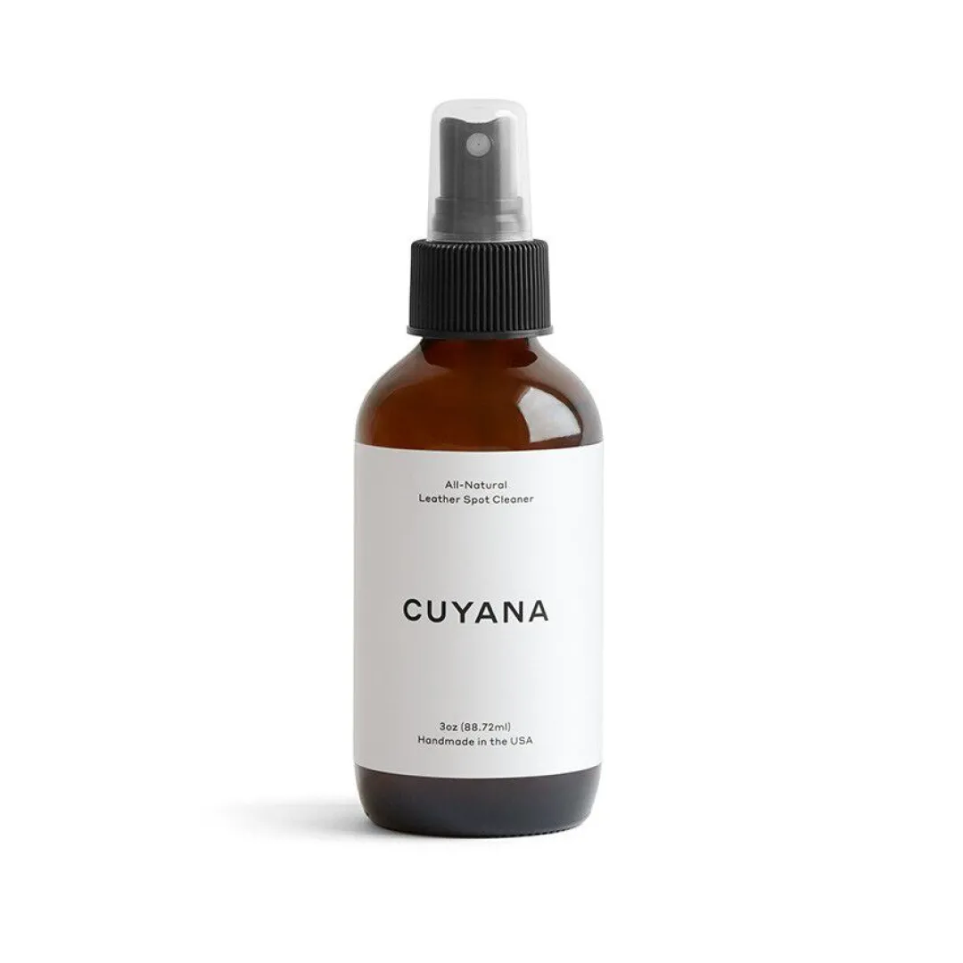 Shop Cuyana Leather Spot Cleaner No Color