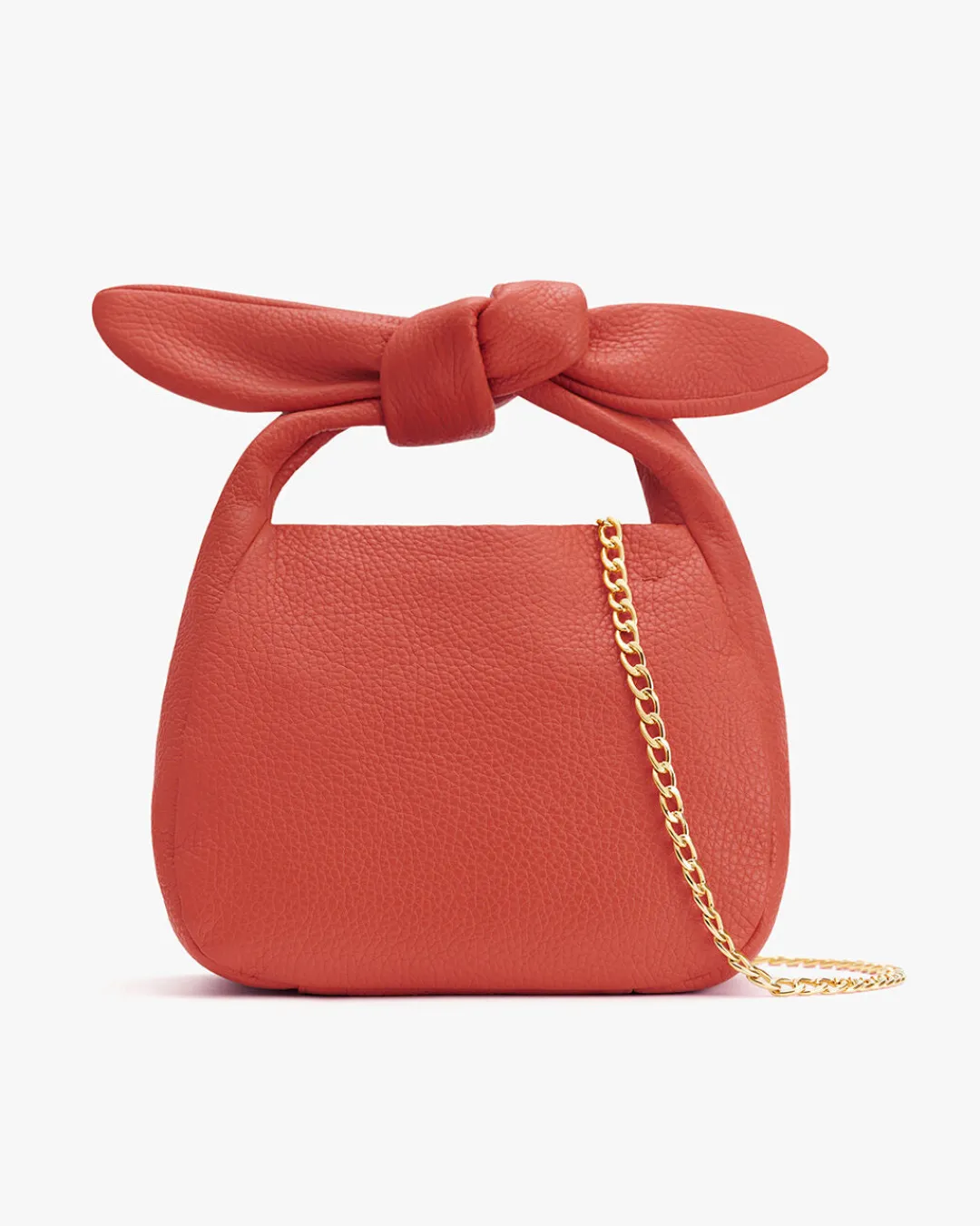 Best Cuyana Mini Bow Bag